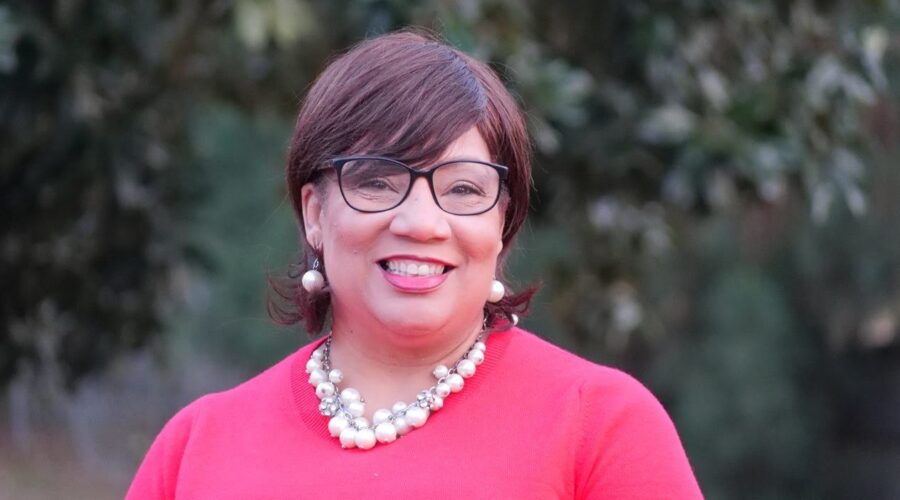 NC Politics: Highlights from the House legislative session | Locked In